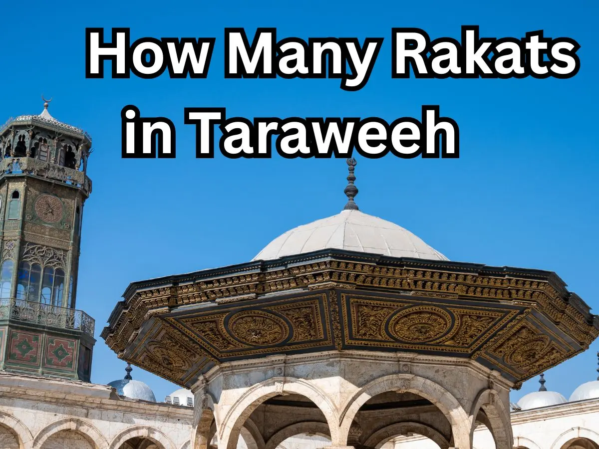 How Many Rakats in Taraweeh Beliefs, Holy Month, Pillar of Islam, Prayer, Ramadan, Fast, Supplications, Taraweeh,