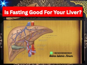 Is Fasting Good For Your Liver?