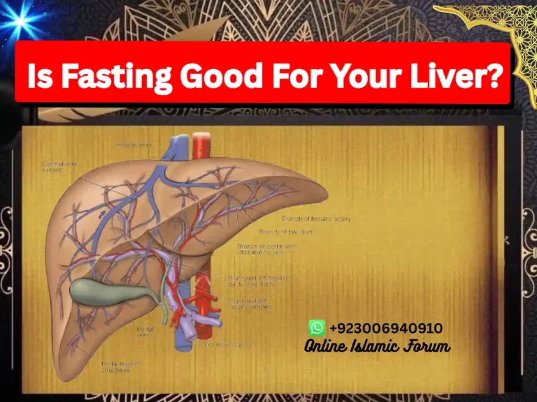 Is Fasting Good For Your Liver?