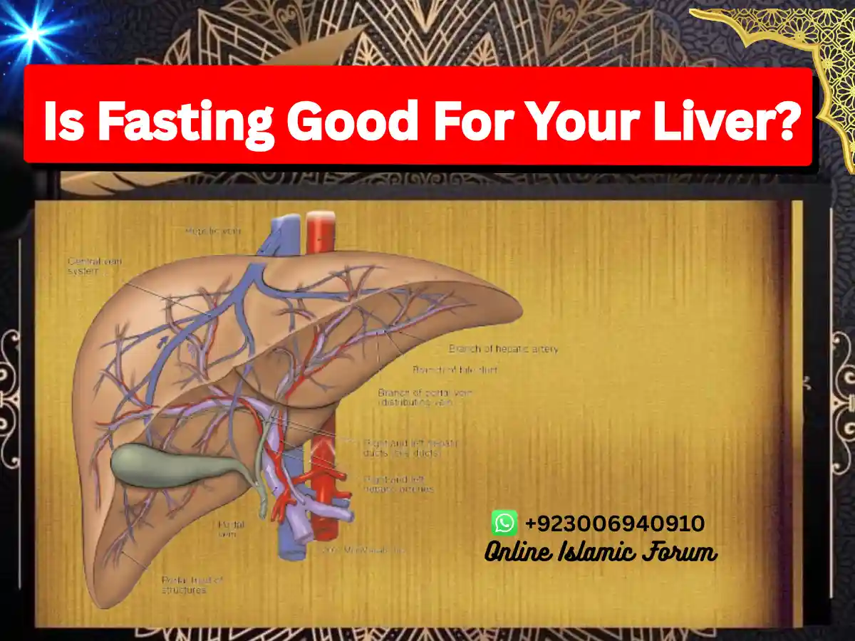 Is Fasting Good For Your Liver?