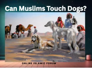 Can Muslims Touch Dogs? What Islam Really Says , Fiqh, Hadith, Islam, Islam-QA, Islamic Jurisprudence, Learn Islam, Quran, Sunnah