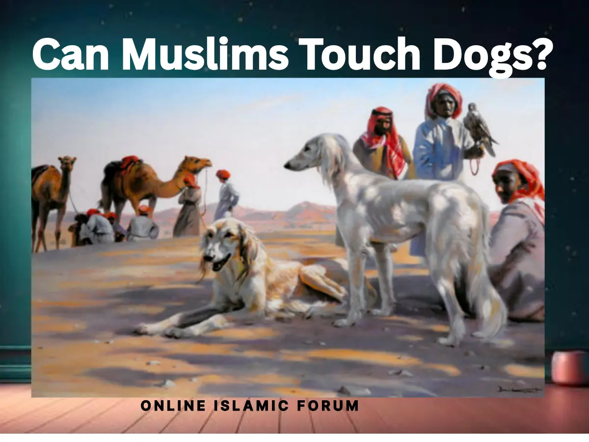 Can Muslims Touch Dogs? What Islam Really Says , Fiqh, Hadith, Islam, Islam-QA, Islamic Jurisprudence, Learn Islam, Quran, Sunnah