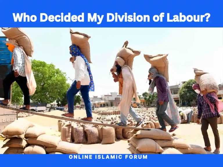 Division of Labour , Fiqh, Hadith, Islam, Islam-QA, Islamic Jurisprudence, Learn Islam, Quran, Sunnah